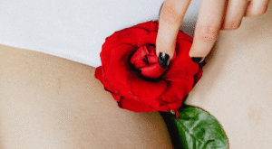 하반신의 여성이 붉은 꽃을 들고 있고, 생리를 은유적으로 표현