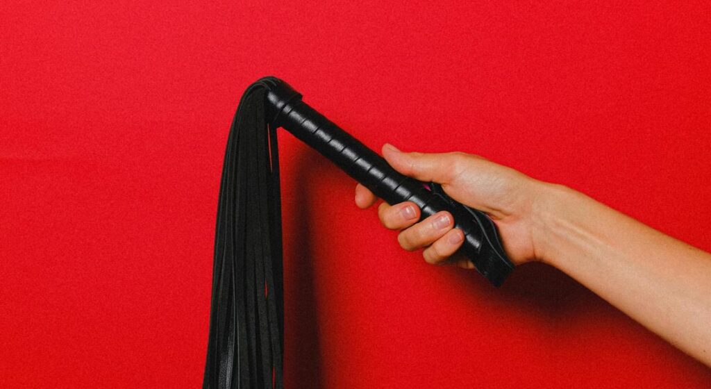 빨간 배경 속 검정 채찍을 든 여성의 손 — BDSM의 권력 역할과 취향 존중을 시각적으로 표현한 이미지