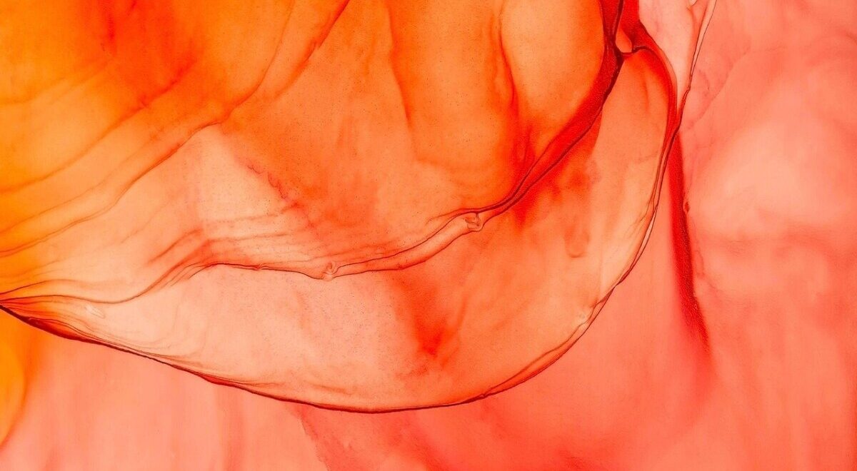 붉은 물감이 흐르는 모습으로 첫경험 출혈에 대한 오해를 상징적으로 표현한 이미지